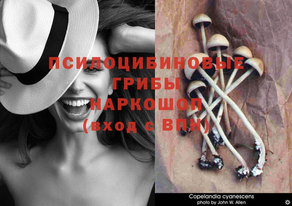 MDMA Арсеньев