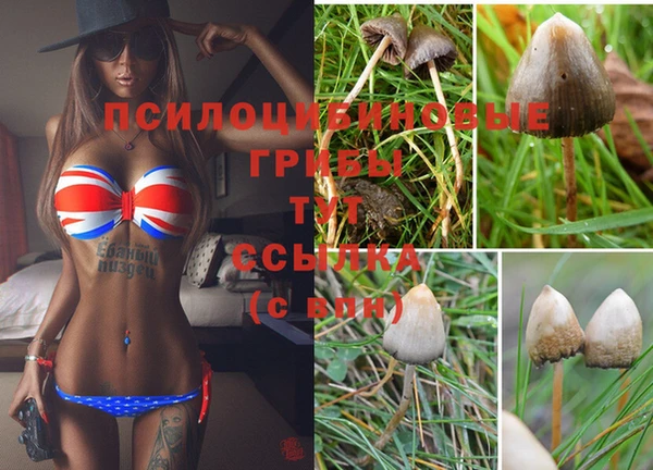 кокаин Армянск