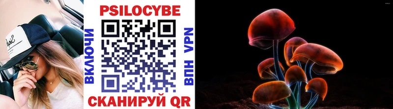 купить наркотики цена Кущёвская Галлюциногенные грибы Psilocybine cubensis